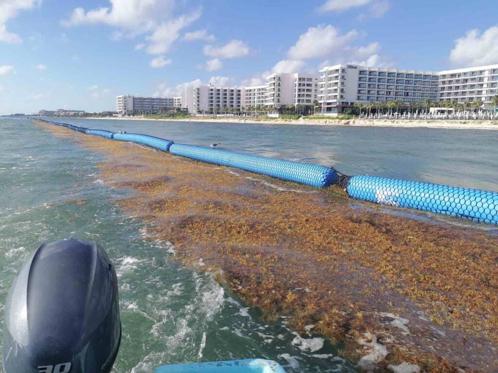 sargasses-barrages-flottant